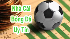 Tổng hợp các trang cá cược bóng đá uy tín cho game thủ mới