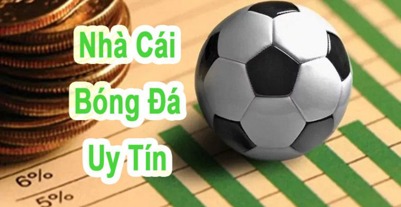 Đánh giá tiêu chí quan trọng khi chọn trang cá cược bóng đá